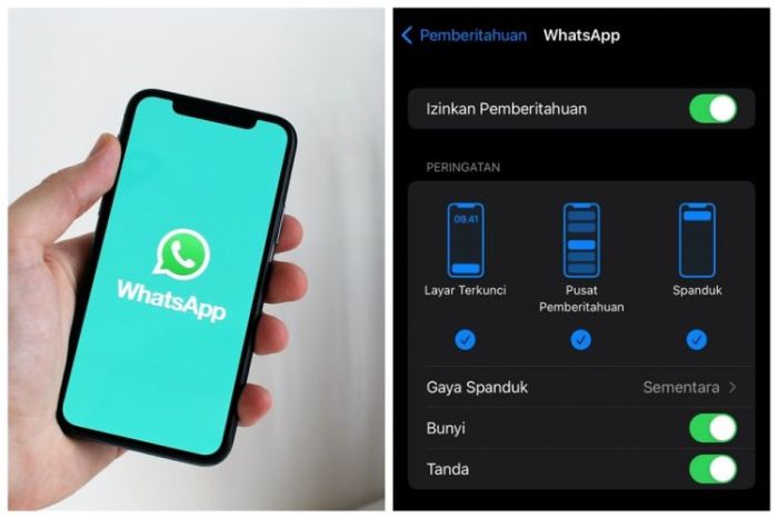 Cara Off Wa Tanpa Mematikan Data Seluler Di Vivo