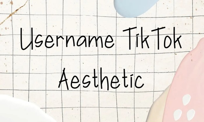 Nama Tik Tok Aesthetic Nama Sendiri