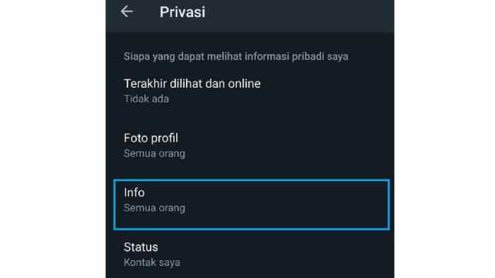 Cara Membuat Bio Whatsapp Kosong