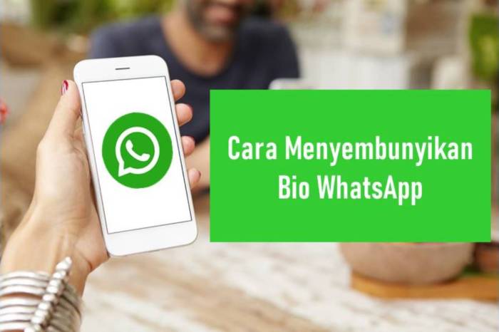 Cara Membuat Bio Whatsapp Kosong