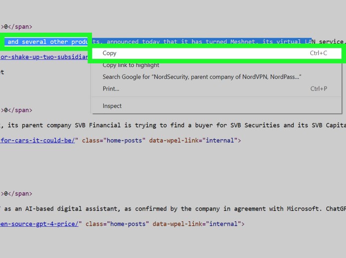 Invisible Name Copy And Paste Teknik dan Risikonya