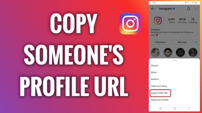 Cara Menyalin Url Akun Instagram Sendiri