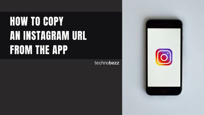 Cara Menyalin Url Akun Instagram Sendiri