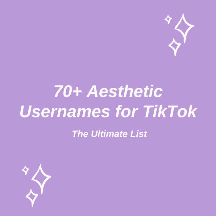 Nama Tik Tok Aesthetic Nama Sendiri