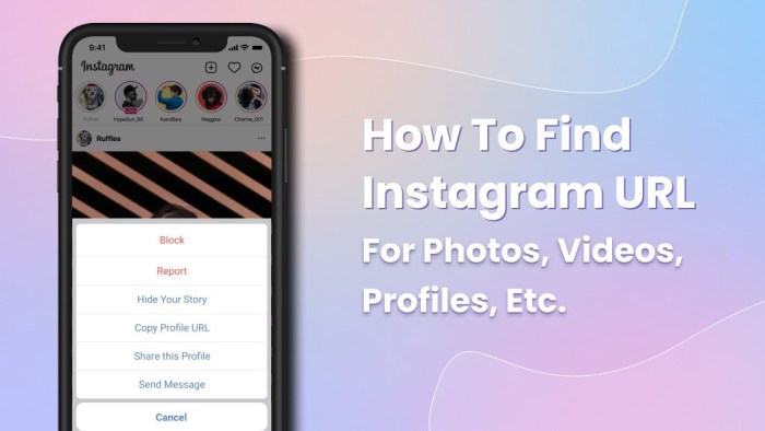 Cara Melihat Link Akun Instagram Sendiri